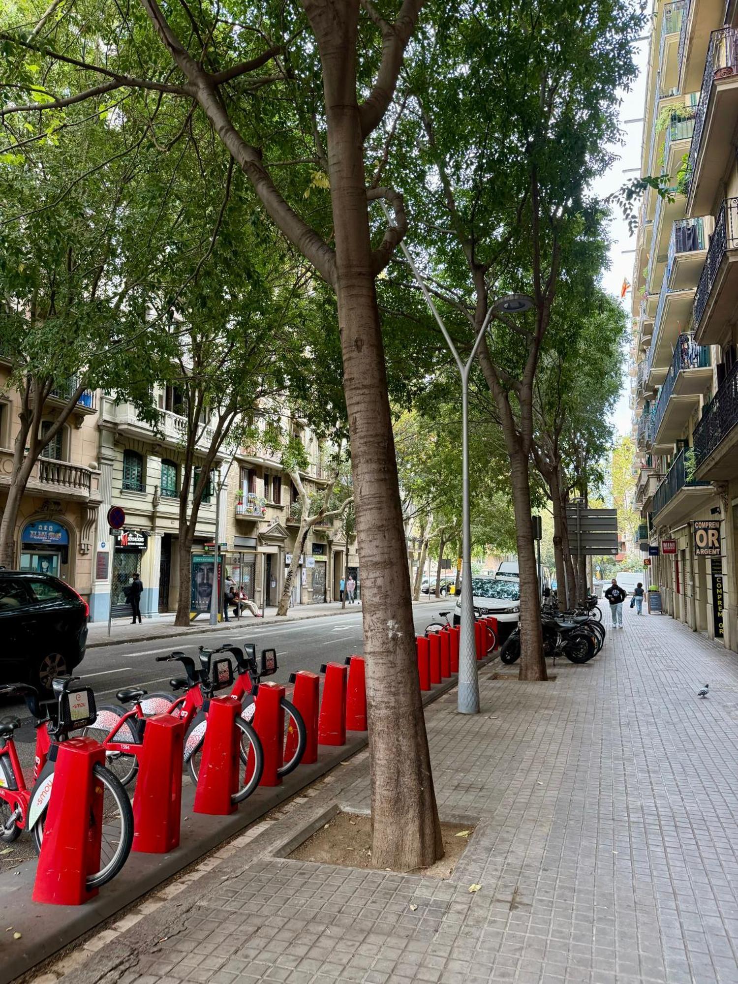 Newly Renovated Stylish Eixample - Great Location บาร์เซโลนา ภายนอก รูปภาพ